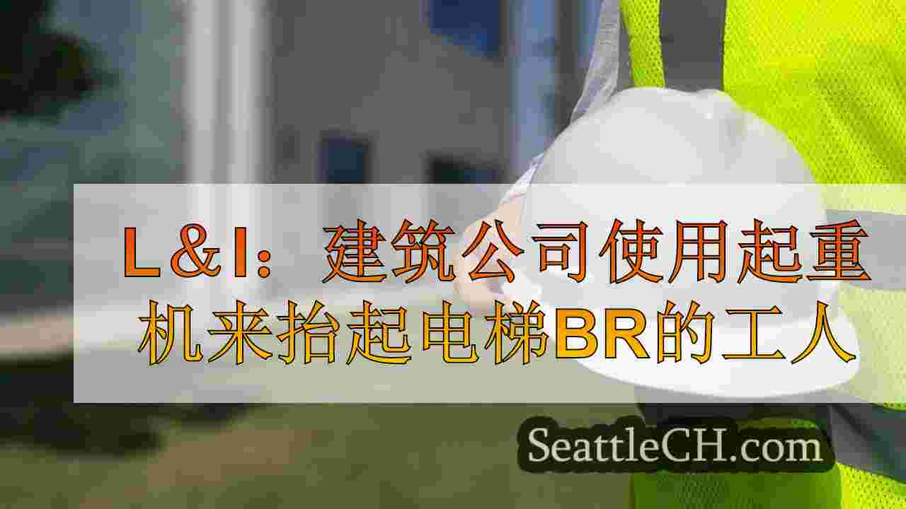 L＆I：建筑公司使用起重机在电梯破裂后抬起工人