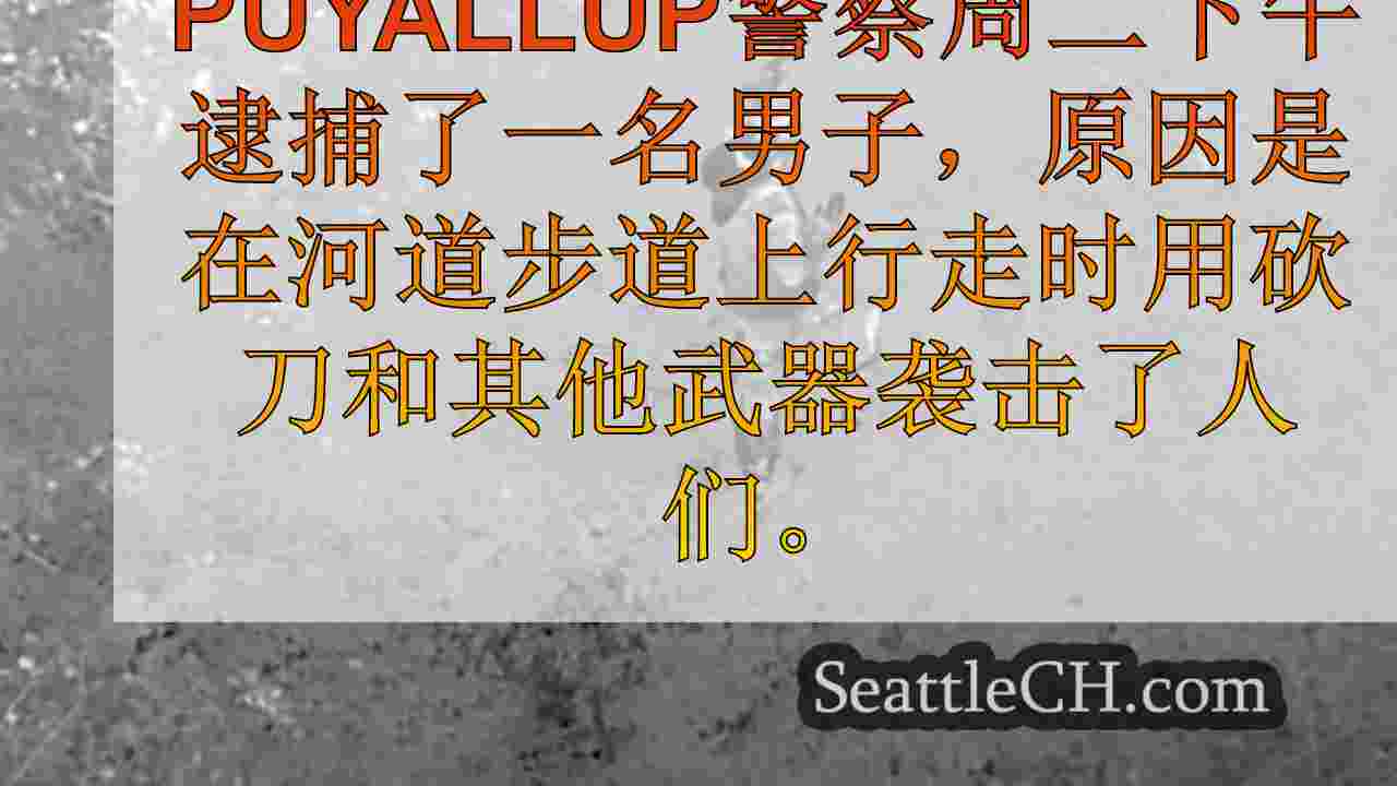 西雅图新闻 SeattleCH