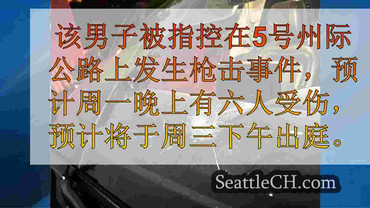 皮尔斯（Pierce）县被指控在国王国王（King