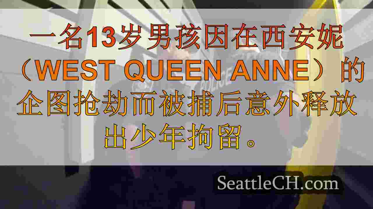 男孩因企图抢劫而被捕，刀被错误地从少年拘留中释放