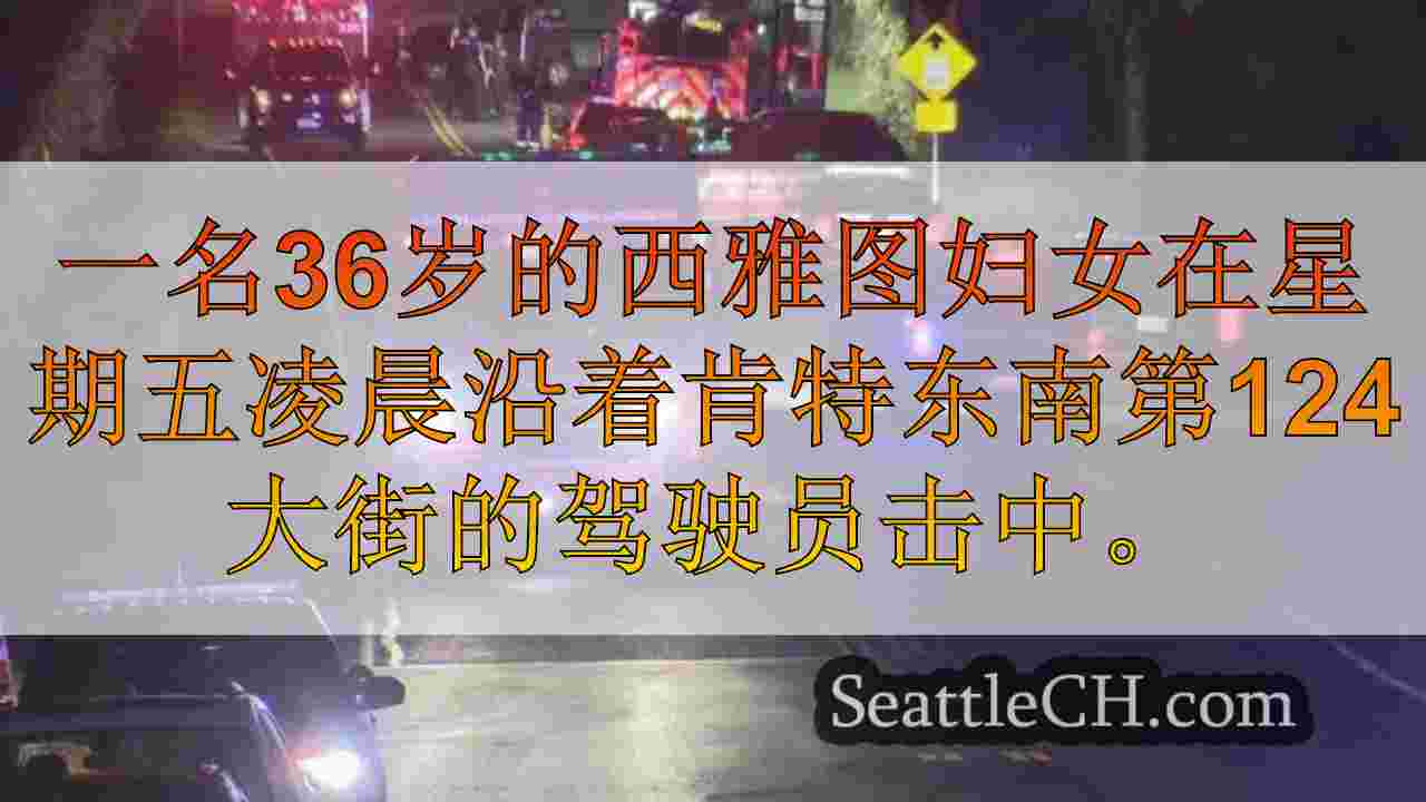 西雅图新闻 SeattleCH
