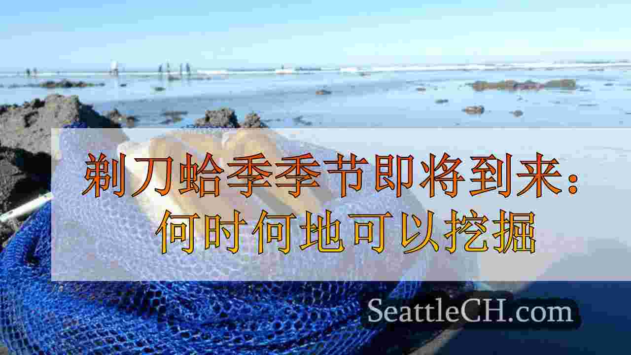 剃刀蛤季季节即将到来：何时何地可以挖掘