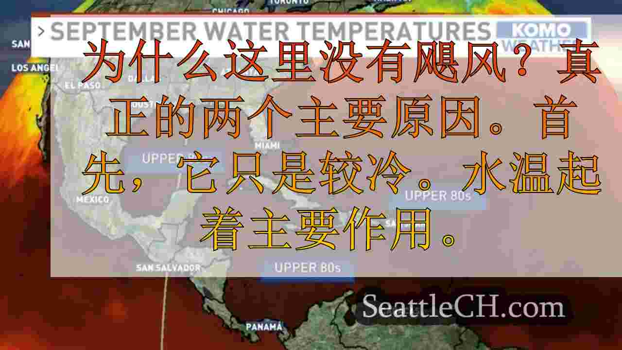 西雅图新闻 SeattleCH