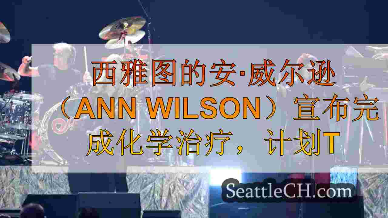 西雅图的安·威尔逊（Ann