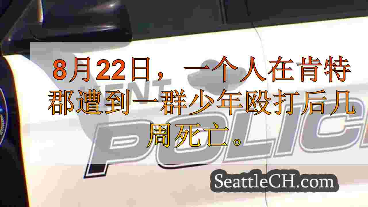 西雅图新闻 SeattleCH