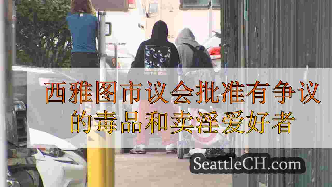 西雅图市议会批准有争议的药物和卖淫缓冲区