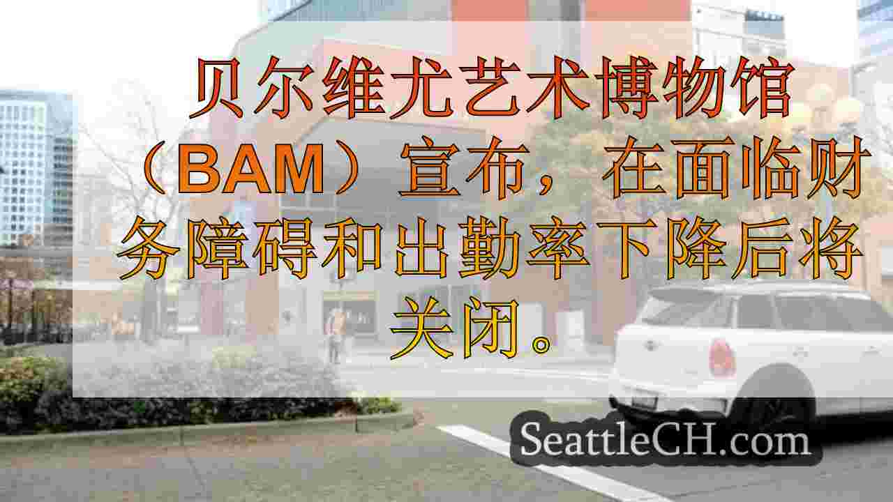 贝尔维尤艺术博物馆宣布“金融不稳定”之后关闭