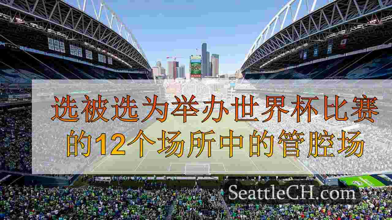 选被选为举办世界杯比赛的12个场所中的管腔场