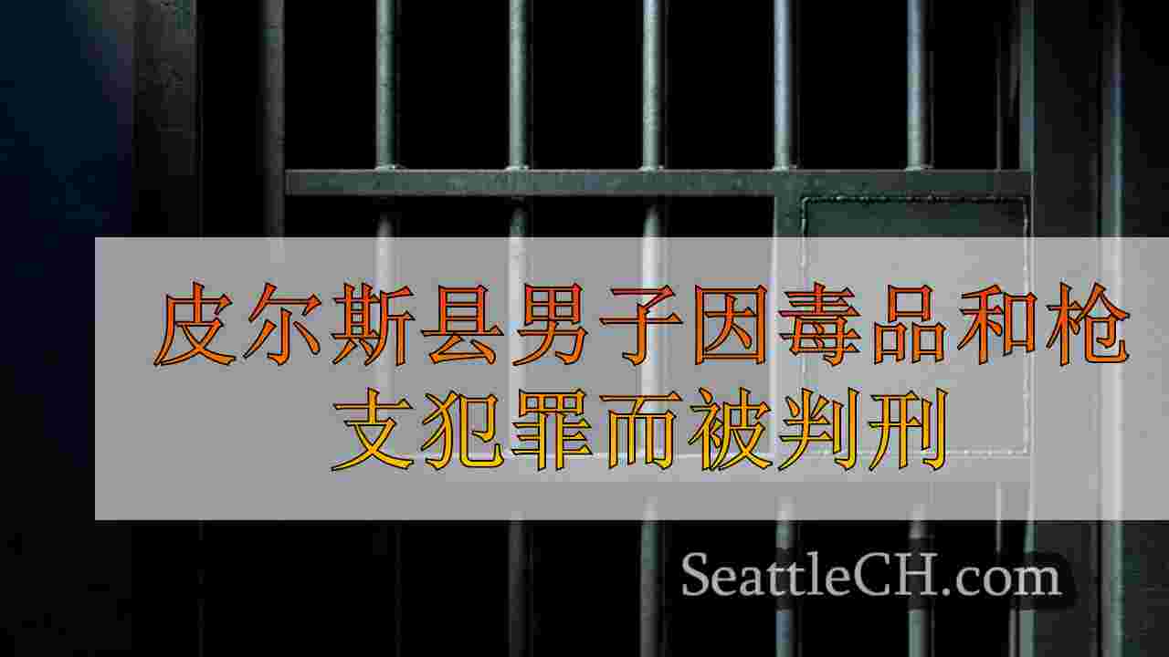 皮尔斯县男子因毒品和枪支犯罪而被判刑