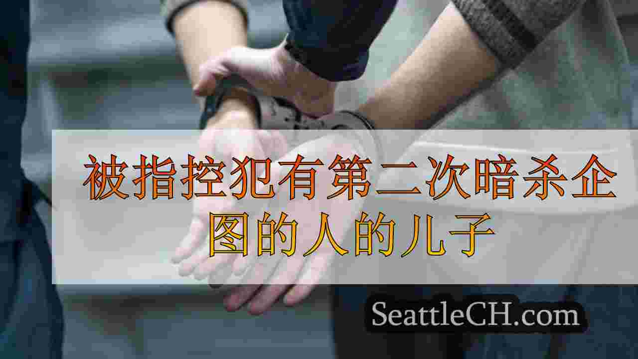 被指控特朗普第二次暗杀企图的人的儿子被指控拥有儿童色情