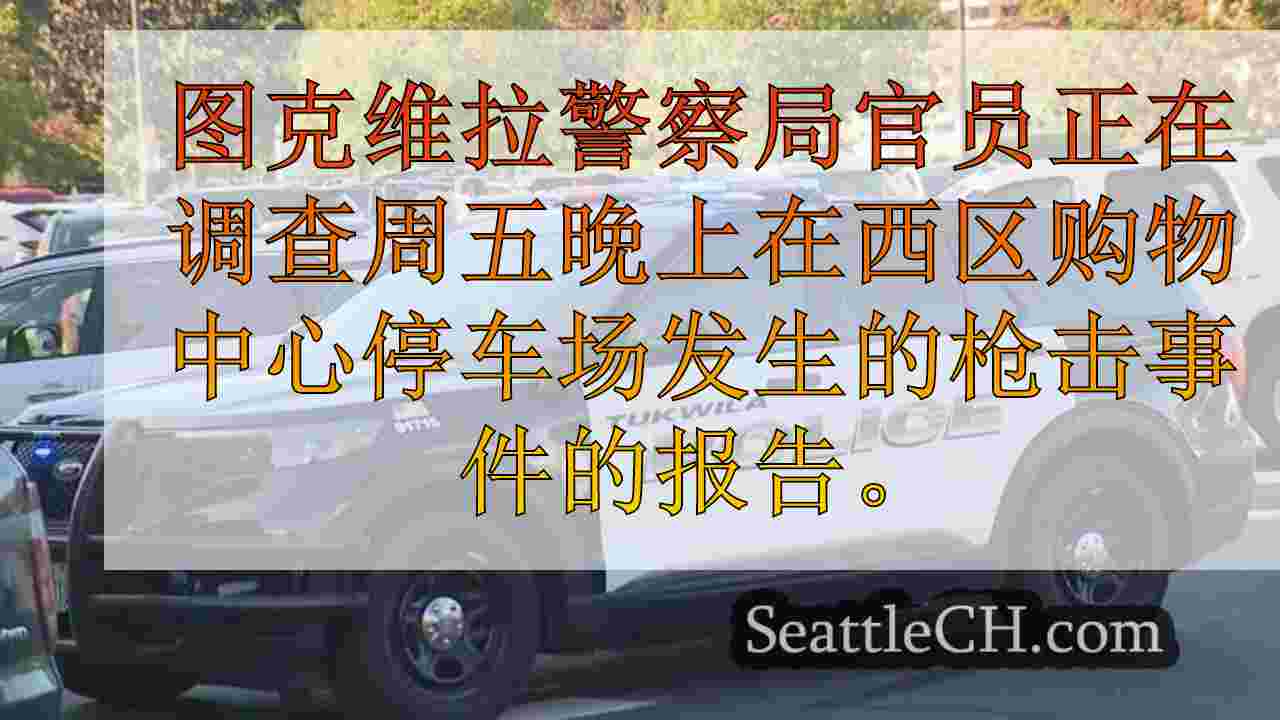 西雅图新闻 SeattleCH