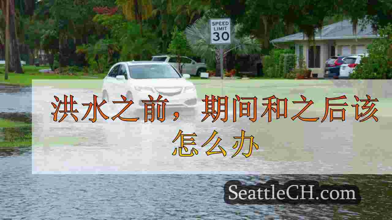 洪水之前，期间和之后该怎么办