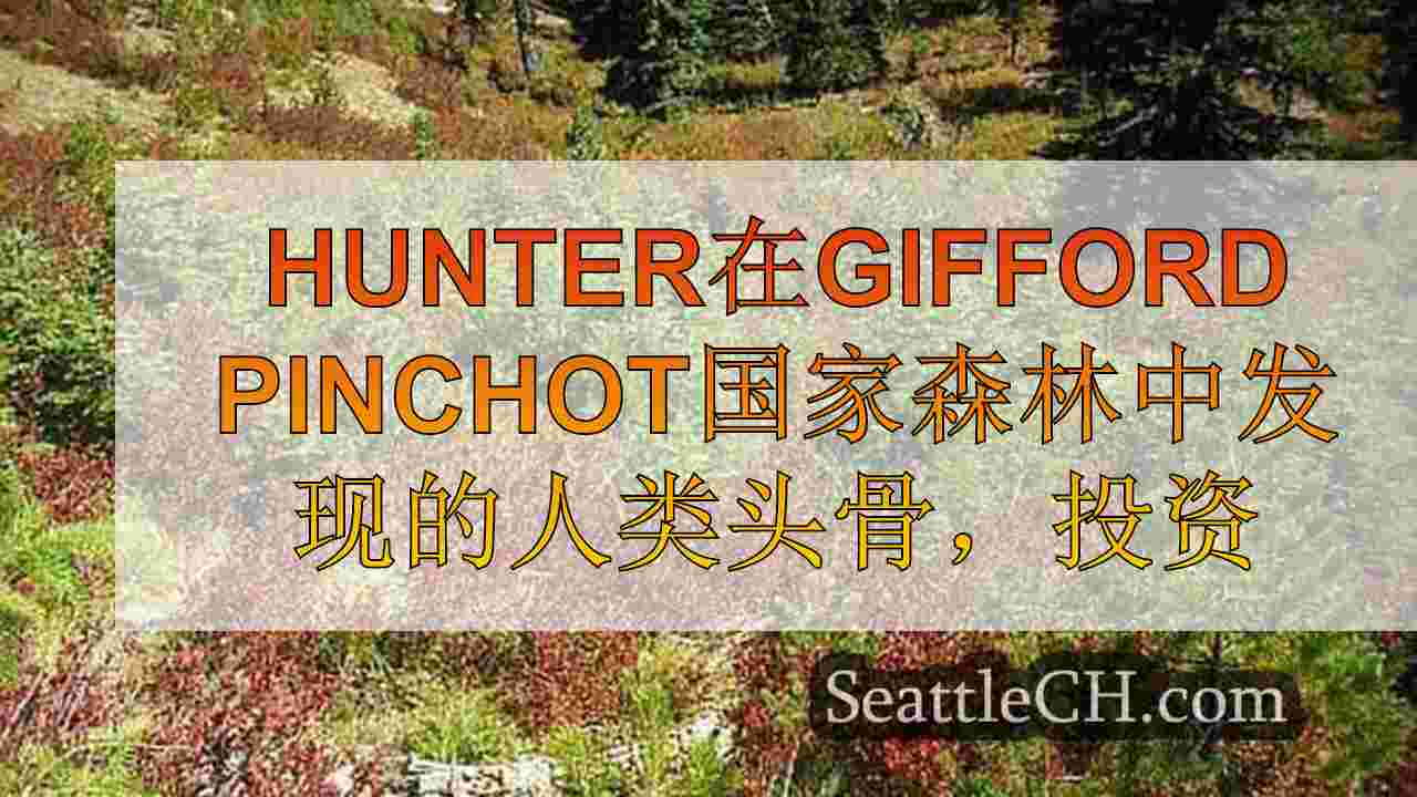 Hunter在Gifford