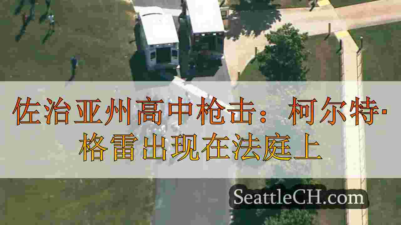 佐治亚州高中枪击：柯尔特·格雷出现在法庭上