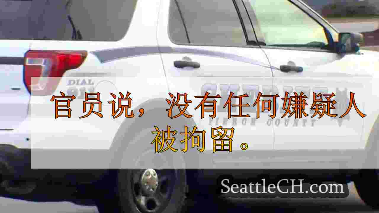 2受伤的puyallup开车射击