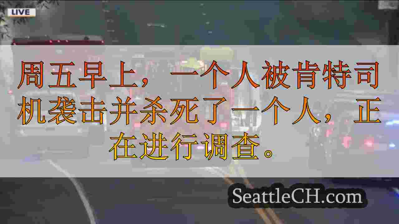 警方调查在华盛顿州肯特的致命坠机事故