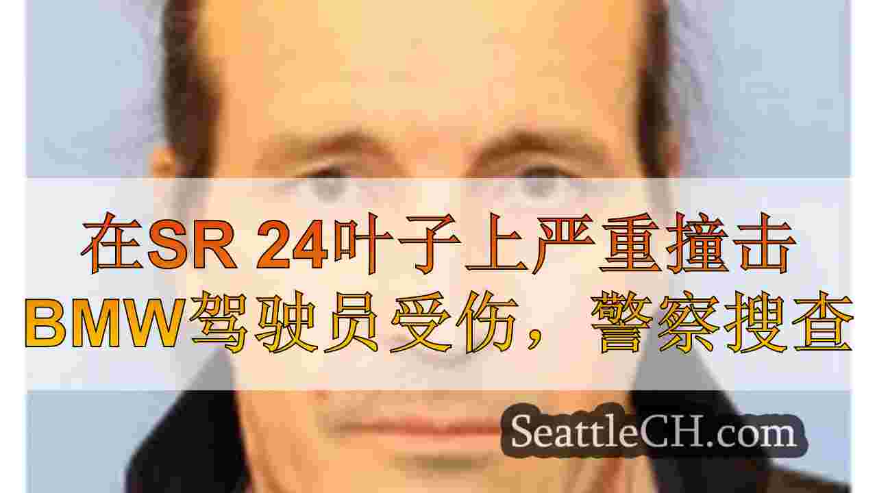 警察搜查嫌疑人的SR 24叶子上的严重撞车24叶子受伤