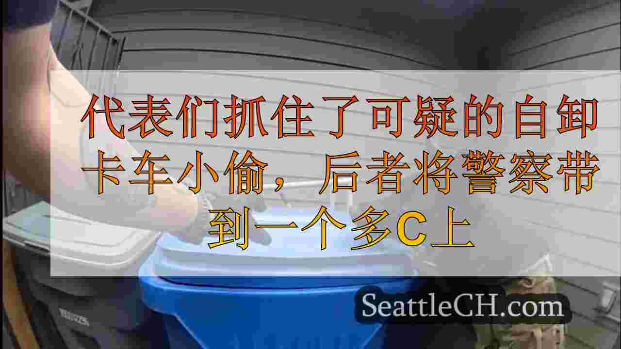 代表们抓住了可疑的自卸卡车小偷