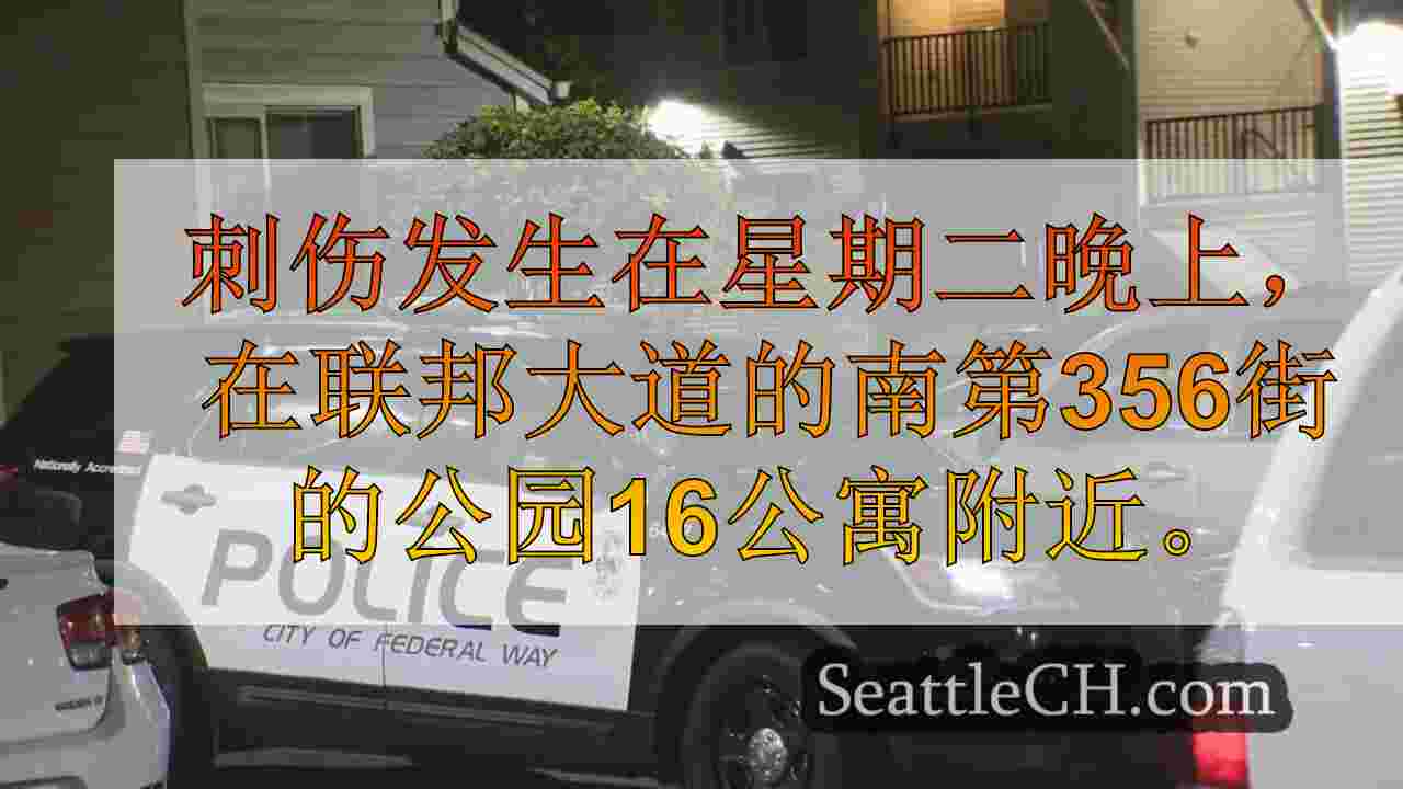 青少年因联邦道路刺伤索赔而被捕，反对同性恋攻击