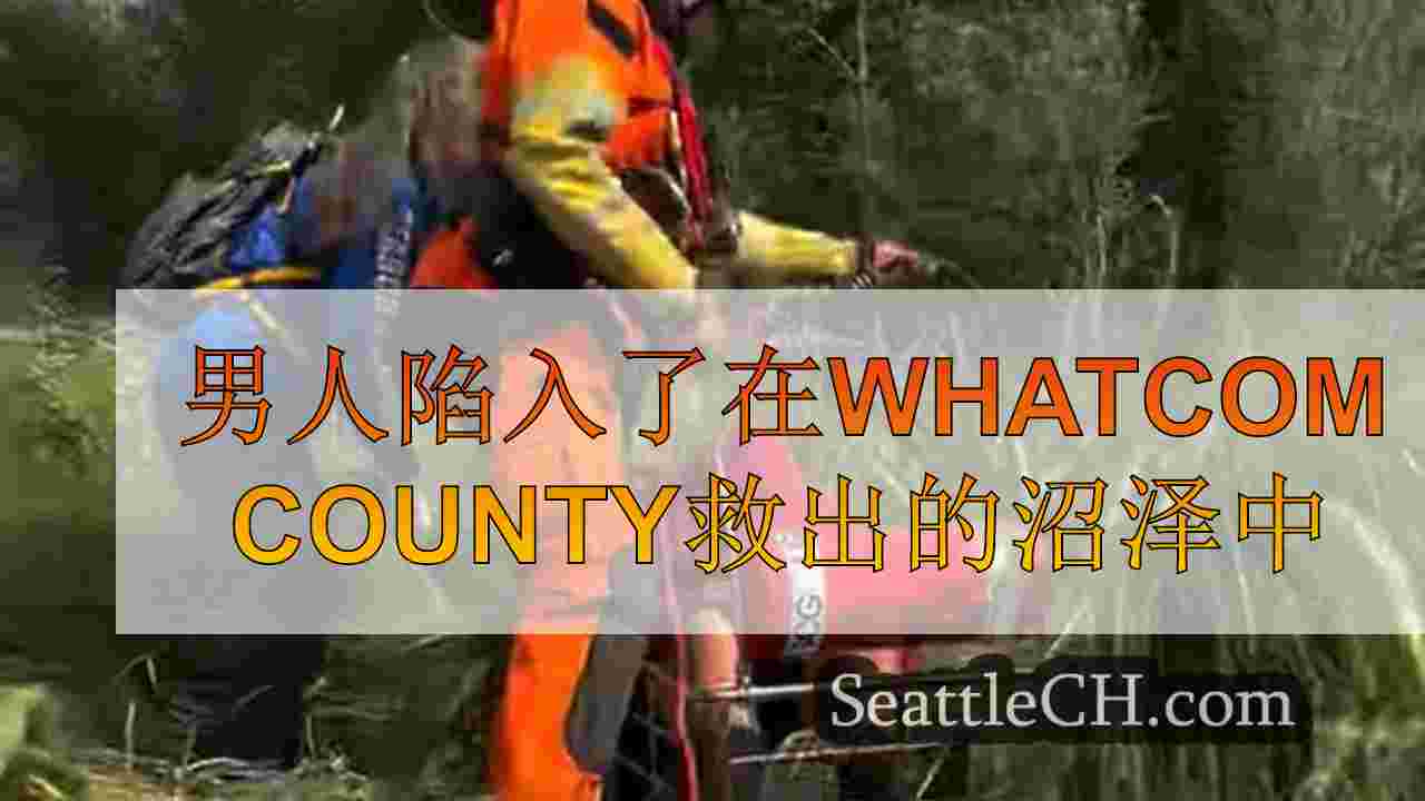 男人陷入了在Whatcom County救出的沼泽中