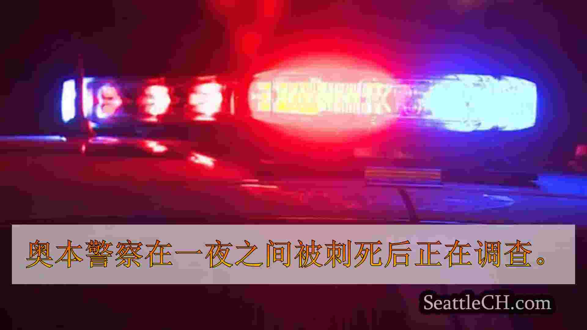 auburn刺伤导致凶杀案调查