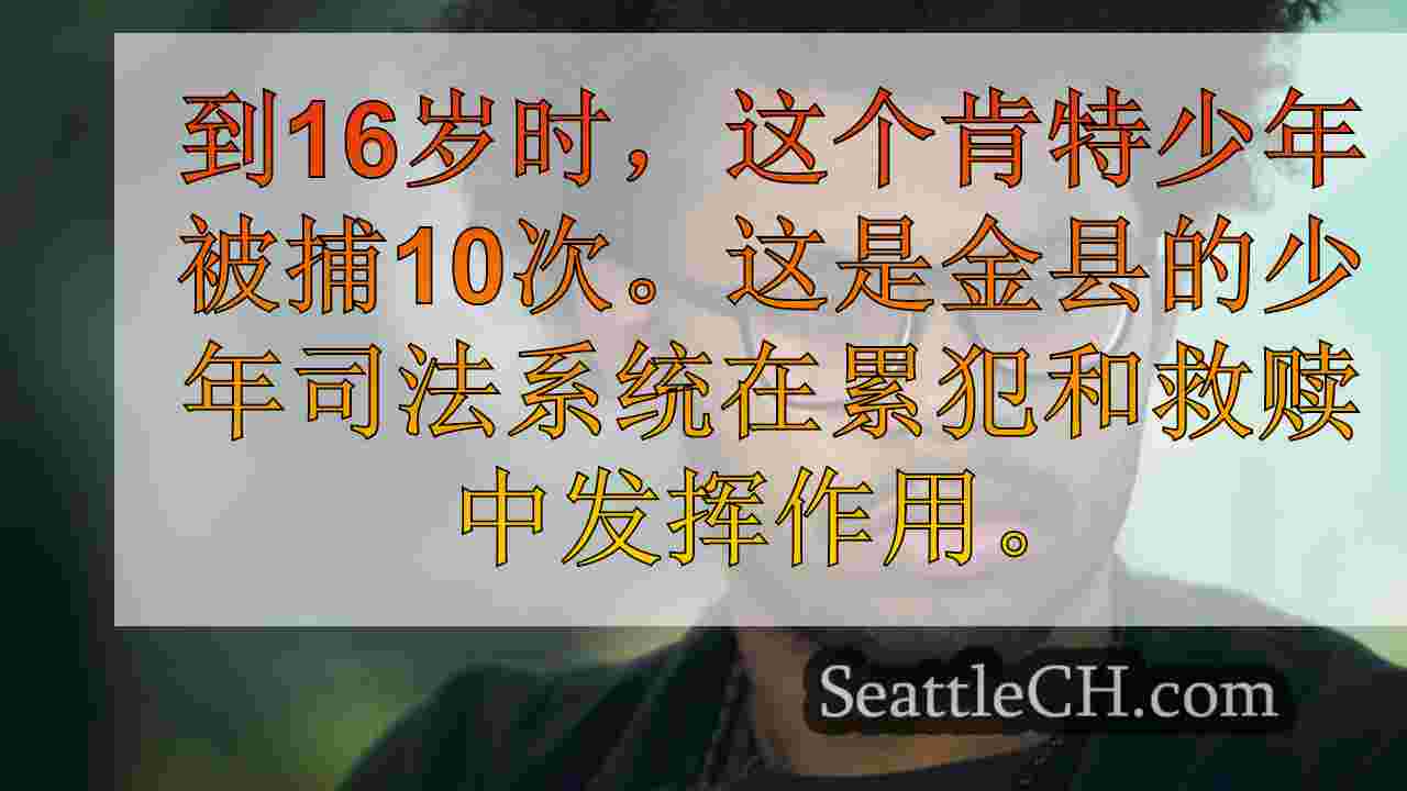 未成年人和被捕：在金县少年司法系统内