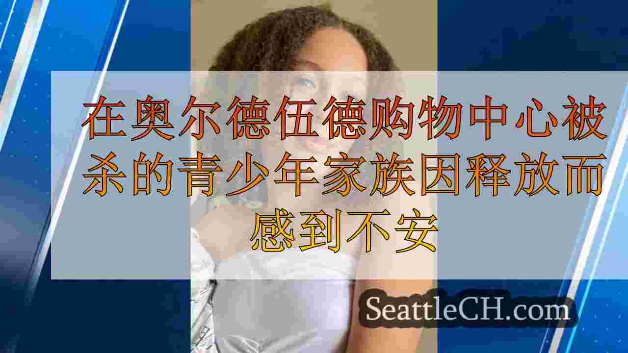 在奥尔德伍德购物中心被杀害的青少年家族因发行视频而感到不安