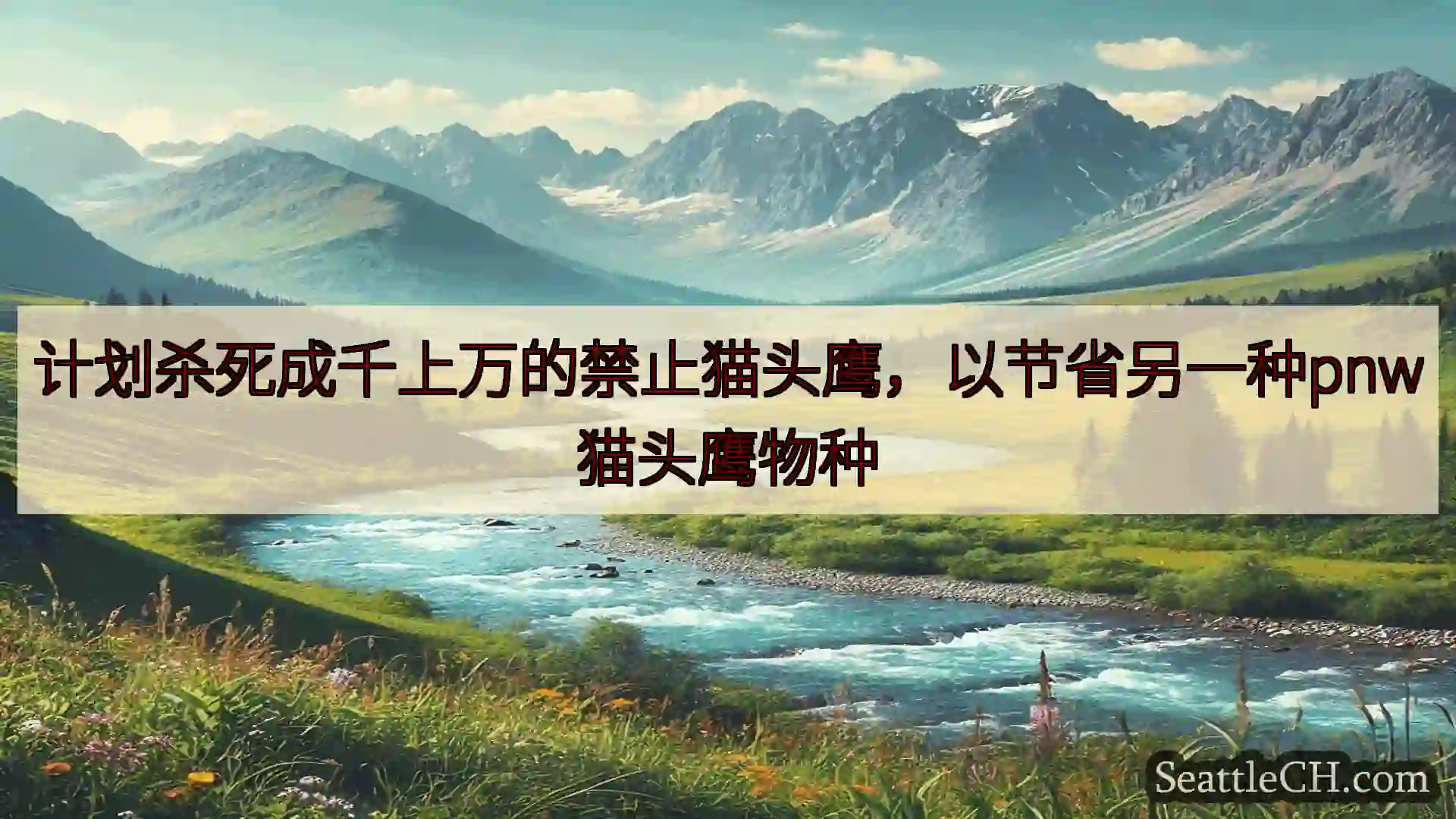 西雅图新闻 计划杀死成千上万的禁止猫头鹰，以节省另一种pnw猫头鹰物种
