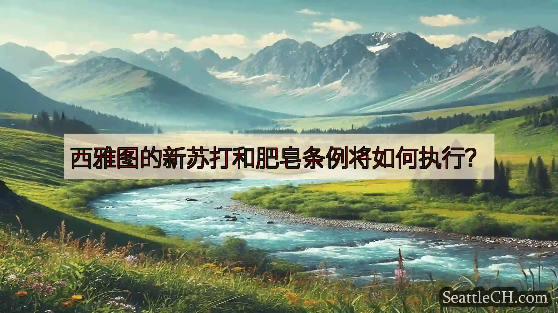 西雅图新闻 西雅图的新苏打和肥皂条例将如何执行？