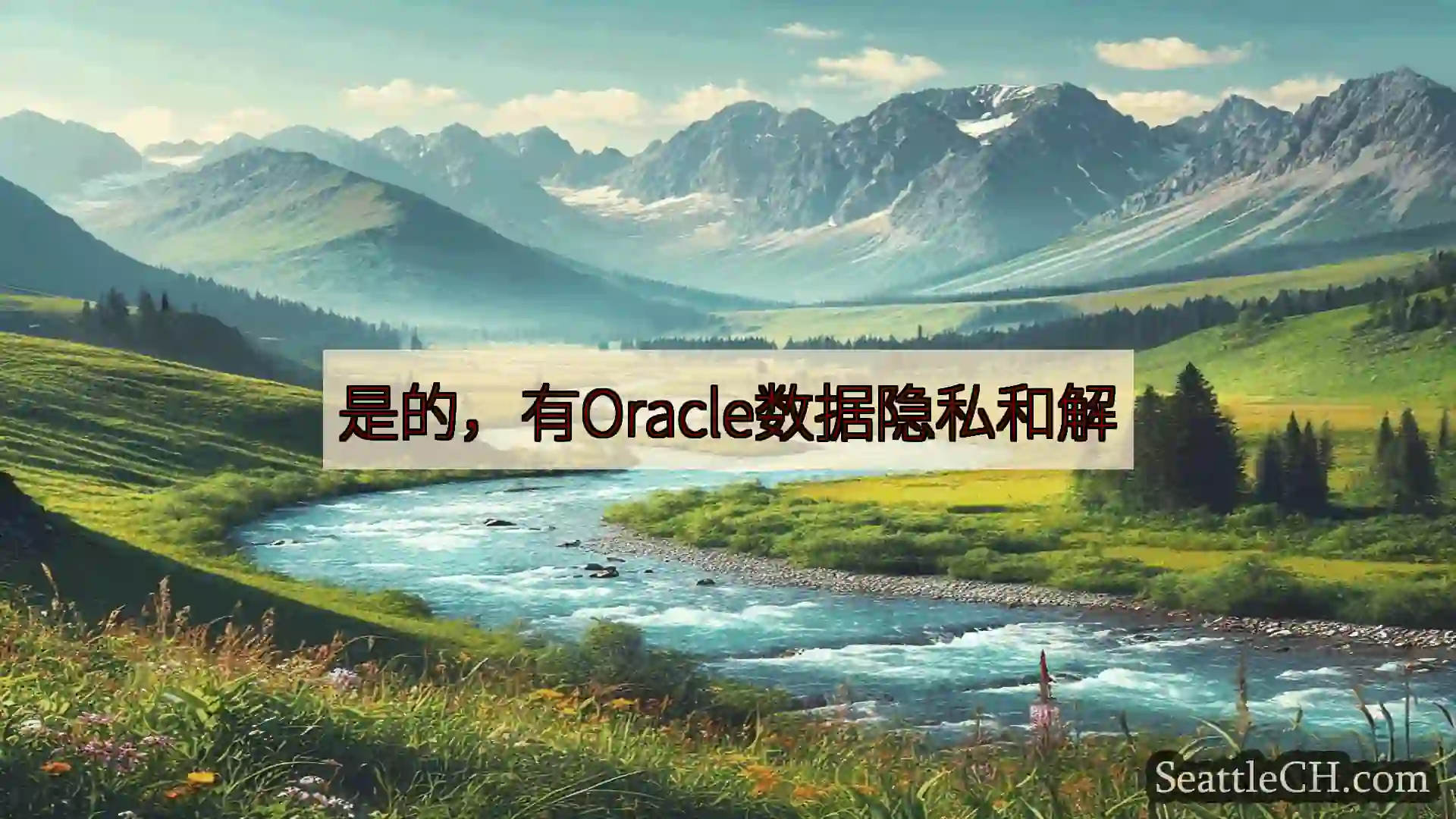 西雅图新闻 是的，有Oracle数据隐私和解