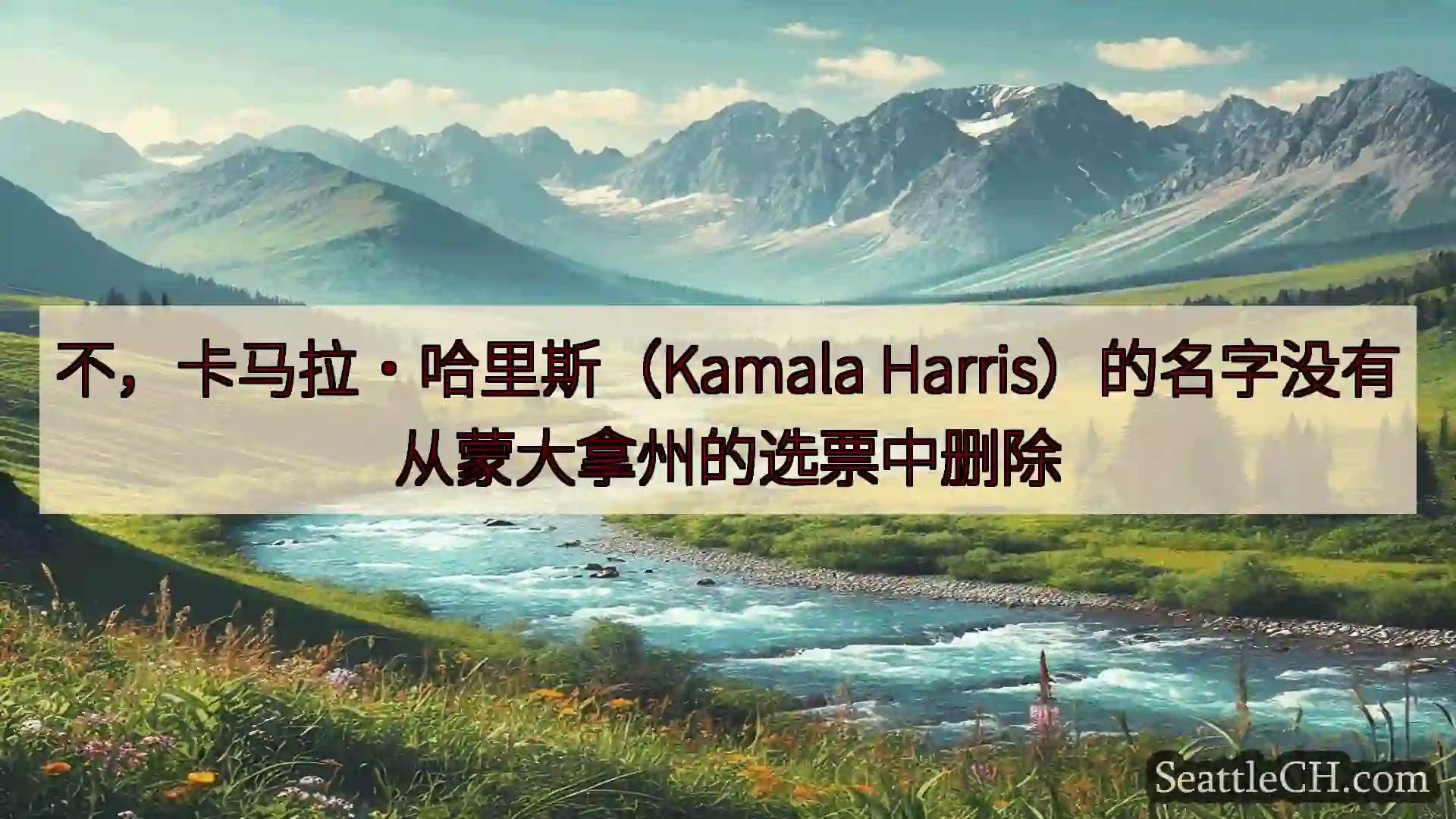 西雅图新闻 不，卡马拉·哈里斯（Kamala