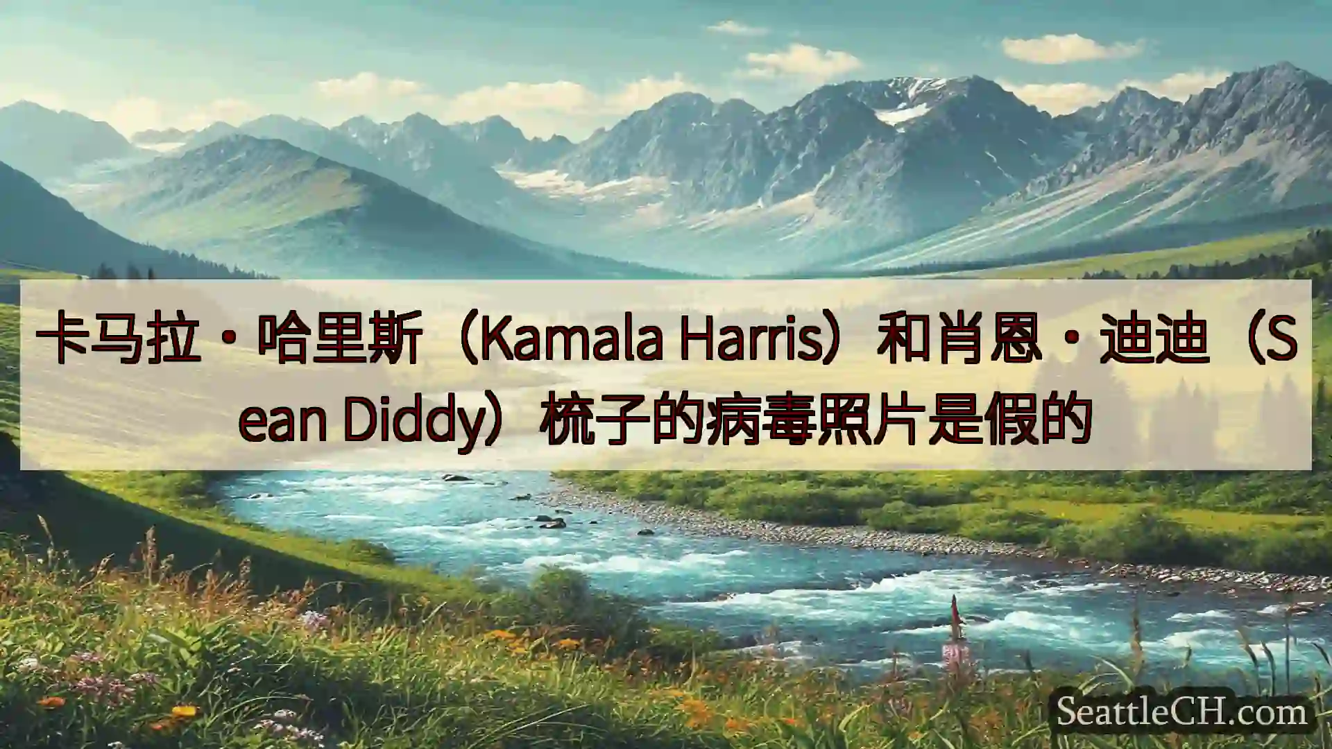 西雅图新闻 卡马拉·哈里斯（Kamala Harris）和肖恩·迪迪（Sean
