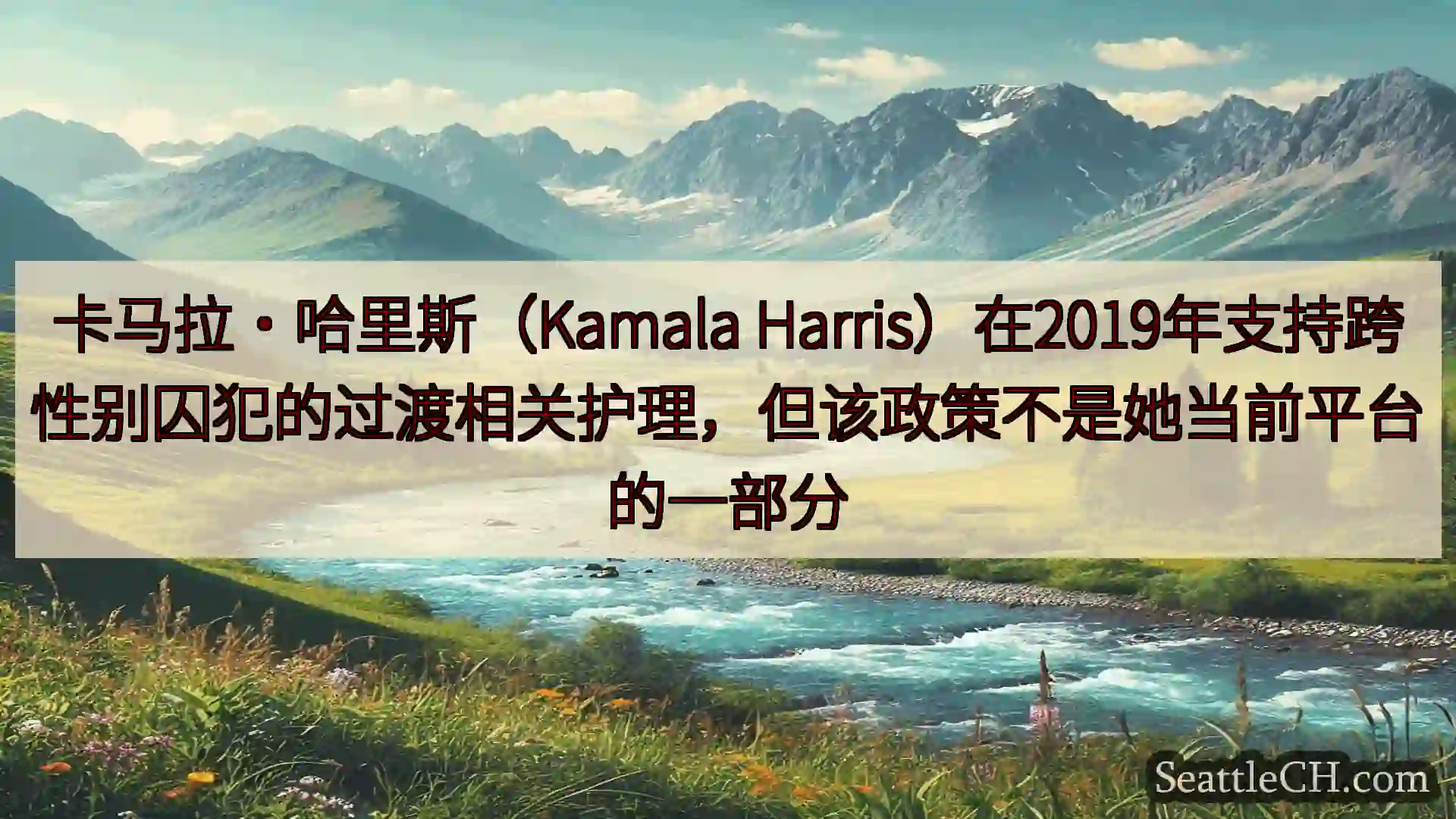 西雅图新闻 卡马拉·哈里斯（Kamala