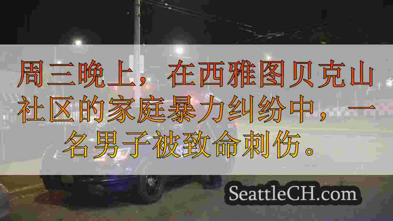 在西雅图的贝克山附近的家庭纠纷期间，人致命刺伤