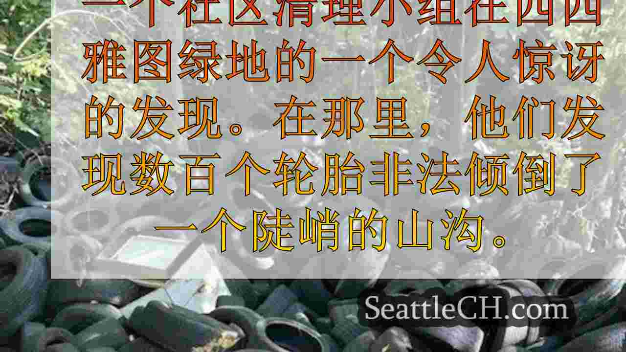西雅图新闻 SeattleCH