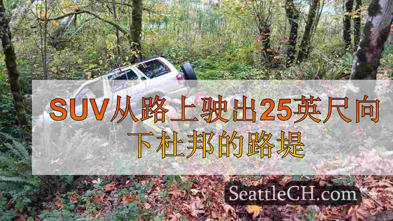 SUV从路上驶出25英尺向下杜邦的路堤
