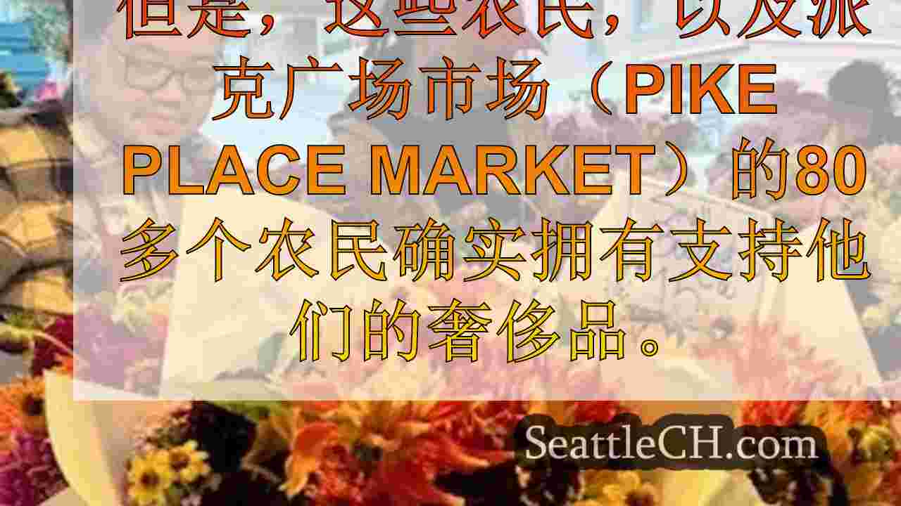 西雅图新闻 SeattleCH