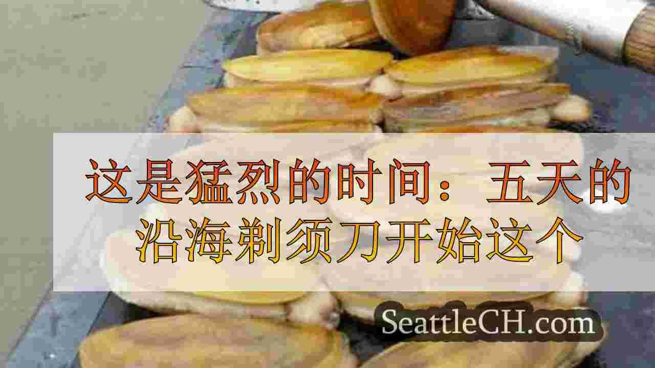 这是猛烈的时间：五天的沿海剃须刀猛烈抨击本周开始