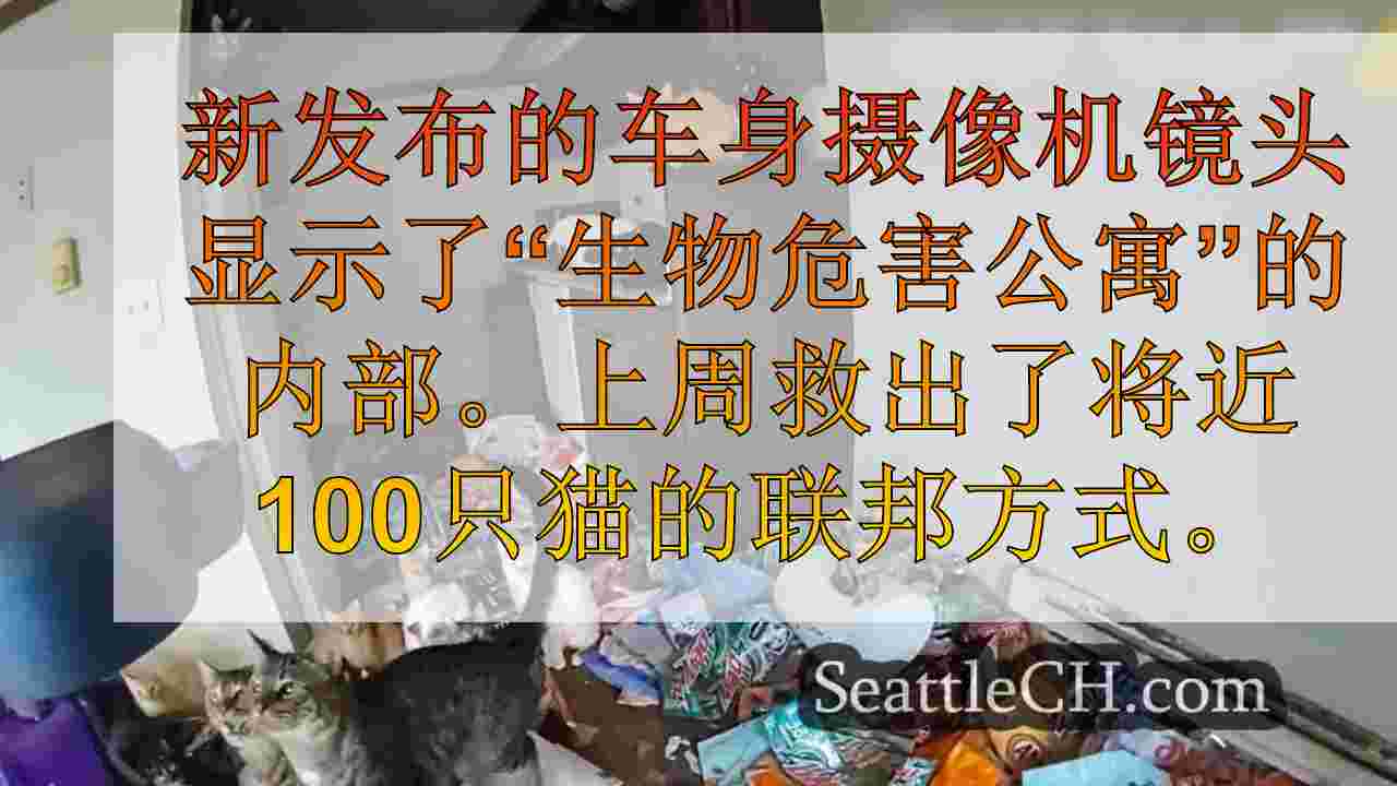 新的车身摄像头视频显示“生物危害公寓”，救出了将近100只猫