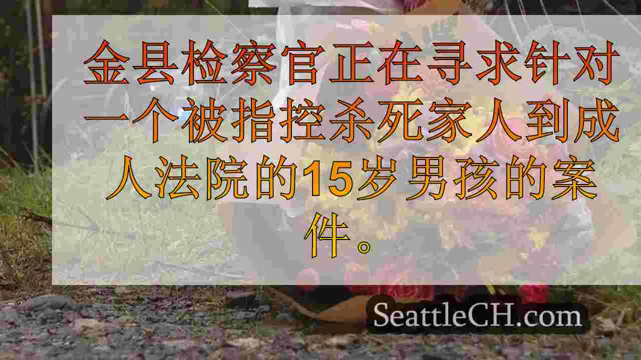 检察官试图搬迁秋季城市青少年，因将家人杀害到成人法院而被指控