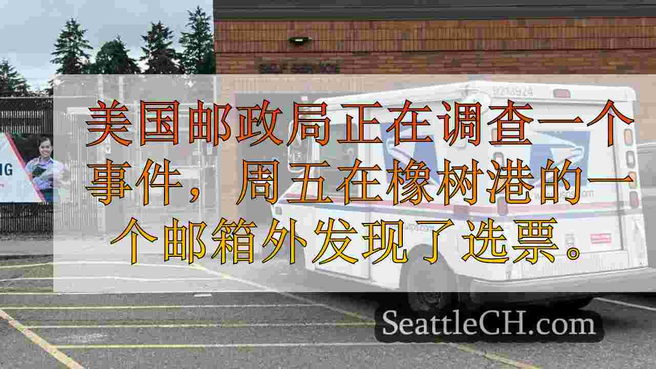 在调查的橡树港邮箱外发现选举选票
