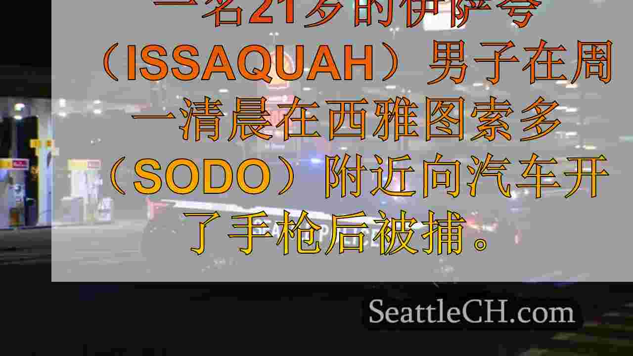 西雅图新闻 SeattleCH