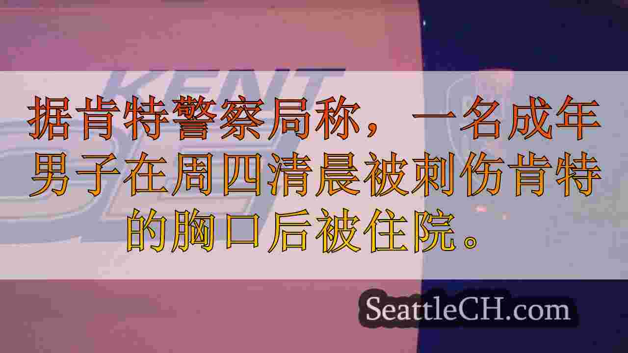 西雅图新闻 SeattleCH