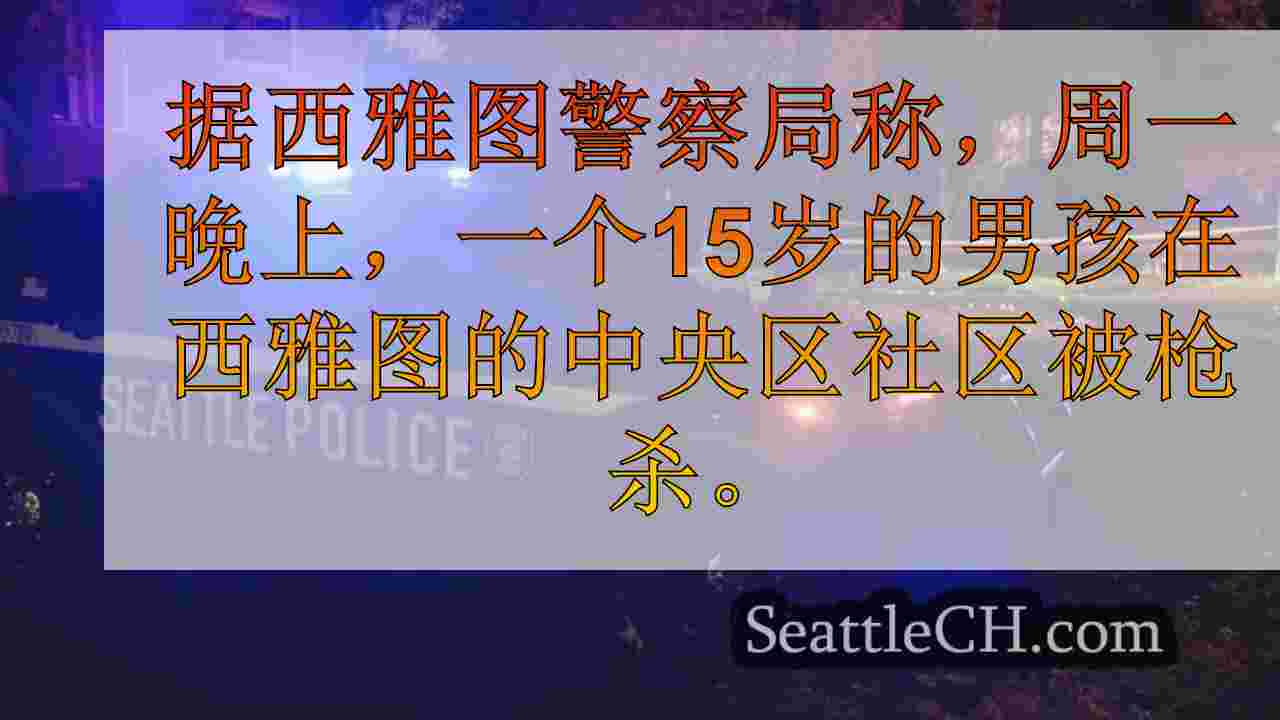 西雅图新闻 SeattleCH