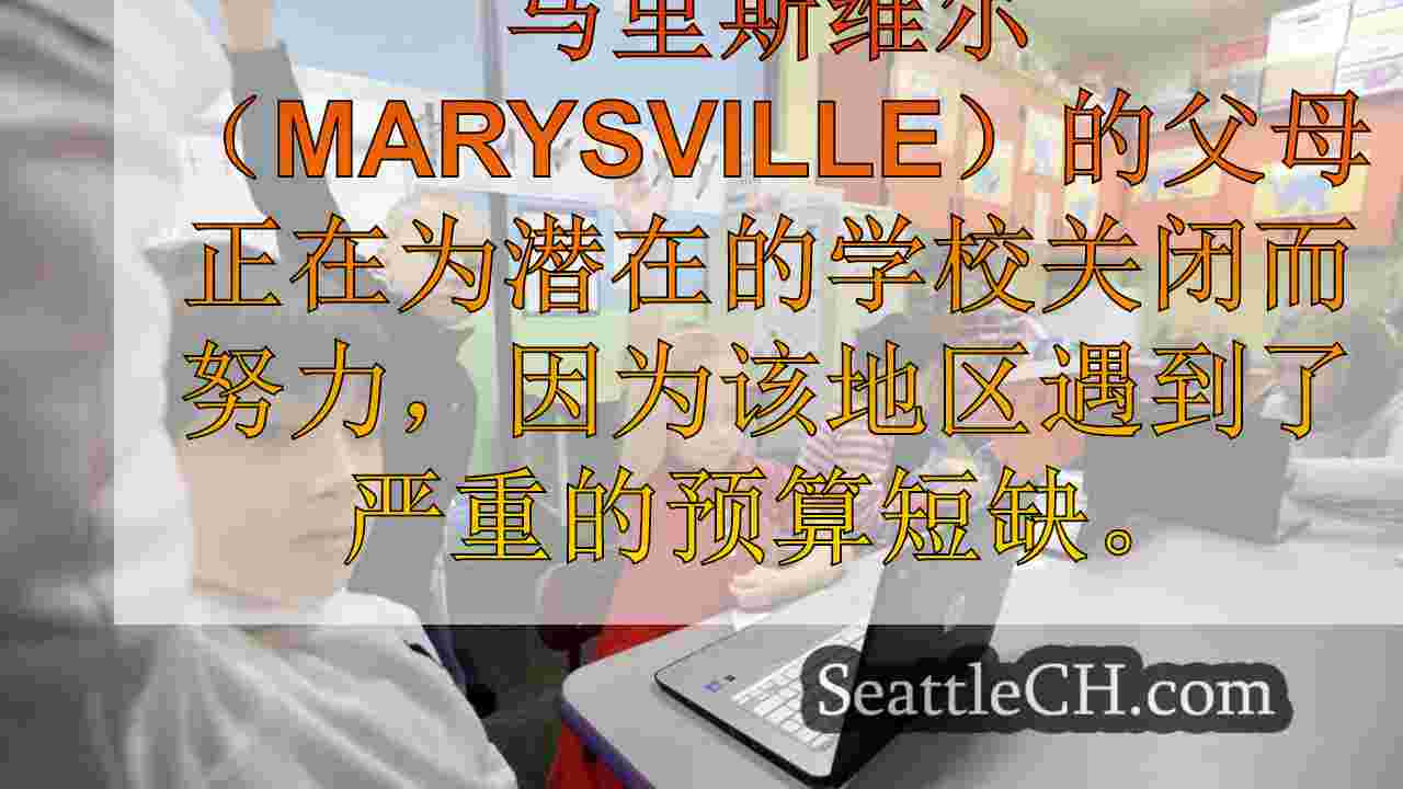 投票：您认为学校预算短缺的最佳解决方案是什么？
