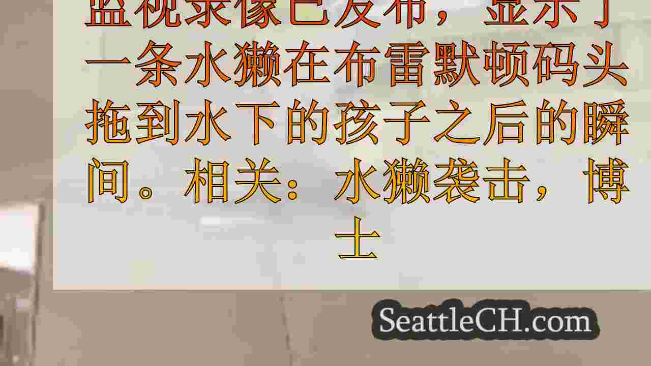 监视视频显示，袭击幼儿后，布雷默顿河一流追逐家庭