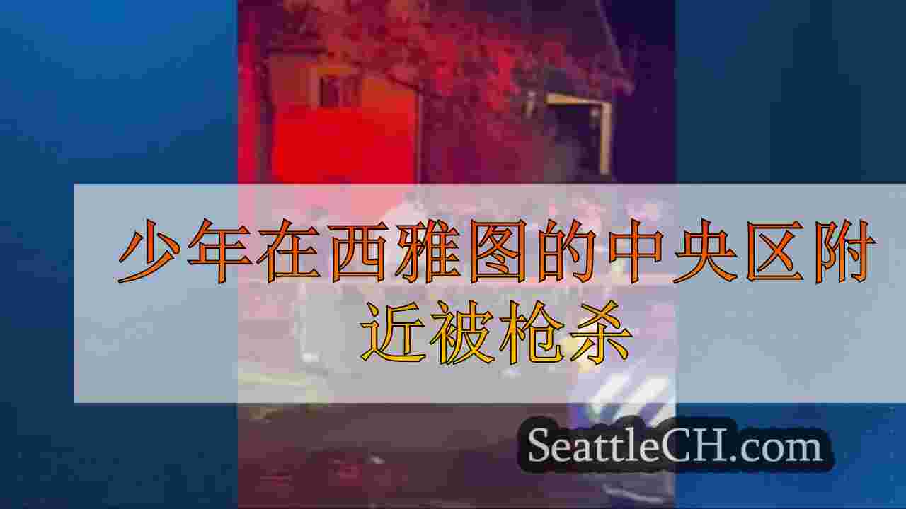 少年在西雅图的中央区附近被枪杀