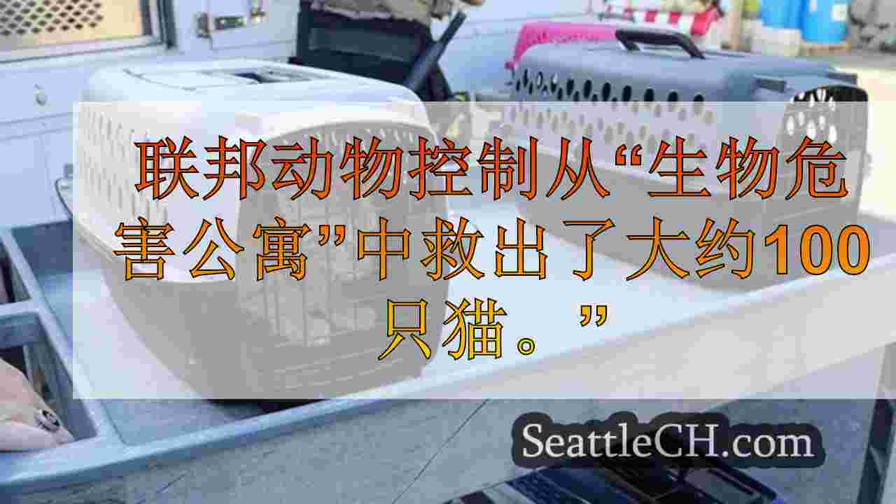 西雅图新闻 SeattleCH
