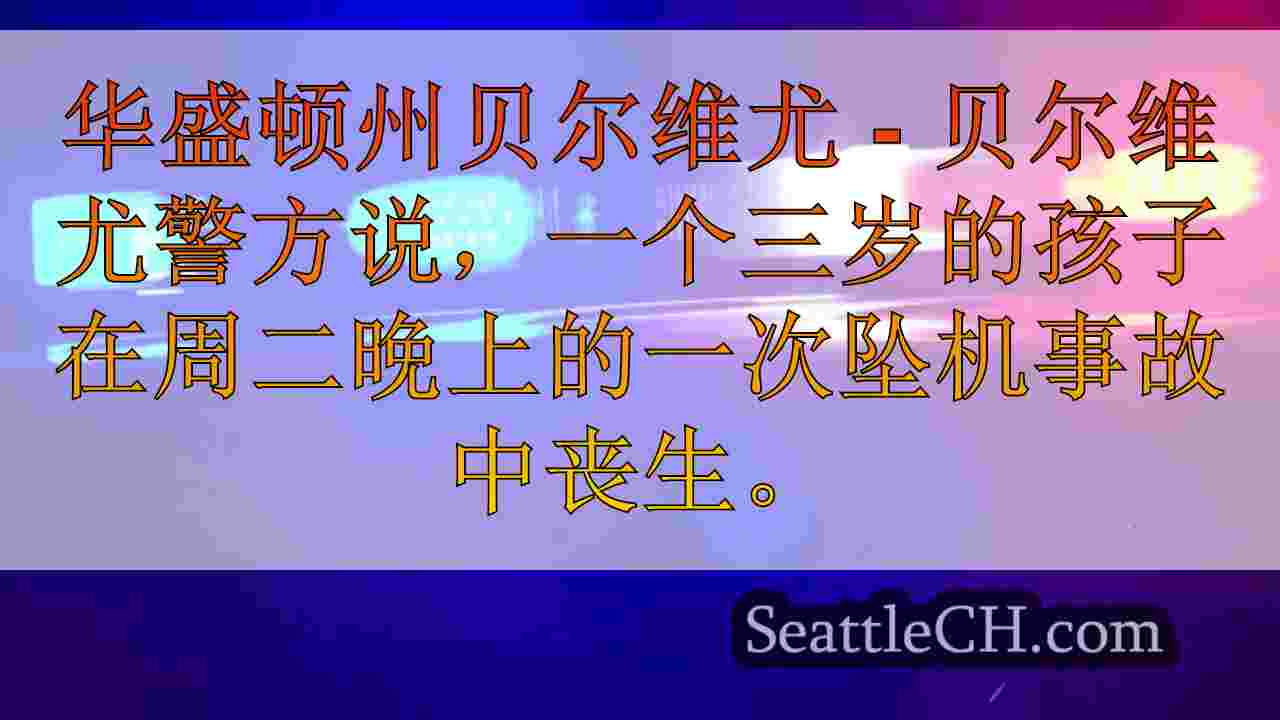在贝尔维尤撞车事故中丧生的3岁儿童
