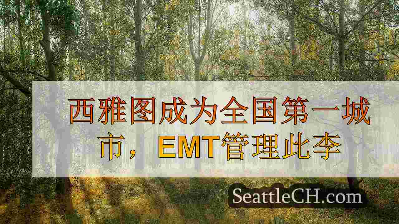 西雅图新闻 SeattleCH
